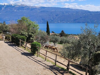 agriturismo scuderia castello
