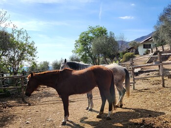 toscolano maderno