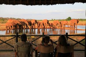 Voi Wildlife Lodge,Tsavo>>Taita-Taveta County,4 star