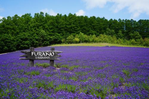 furano
