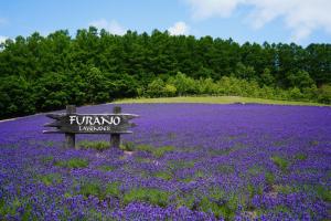 furano