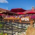 saddle mountain lodge