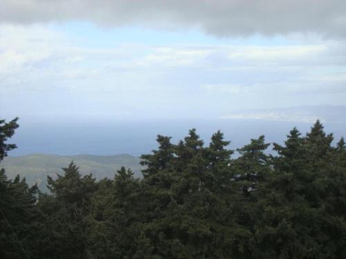 Elafos Hotel,Paradisi>>Kos,3 star