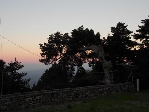 Elafos Hotel,Paradisi>>Kos,3 star