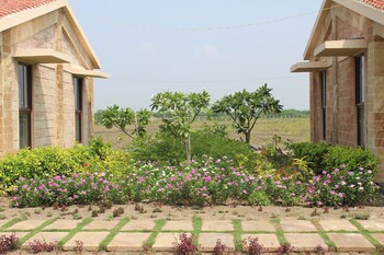 the blackbuck trails velavadar