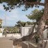 cavos boutique homes
