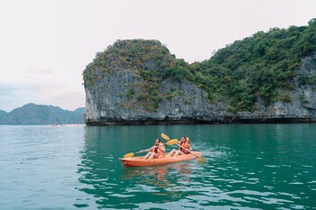 honey boutique cruise