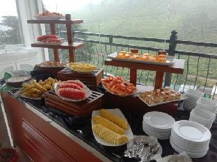 single tree mount hotel