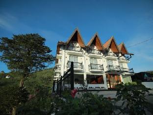 single tree mount hotel