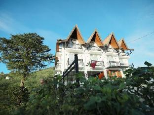 single tree mount hotel