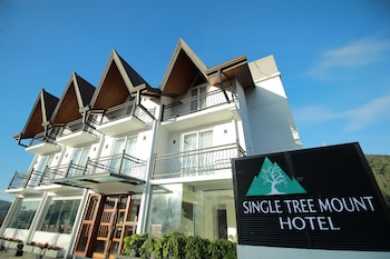 single tree mount hotel