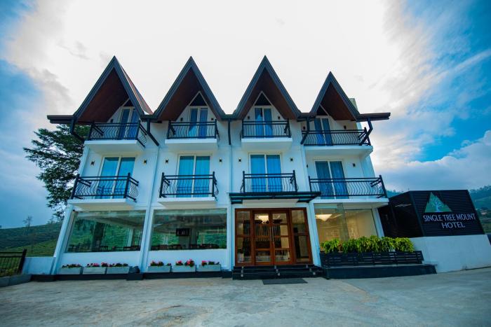 single tree mount hotel