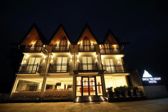 single tree mount hotel