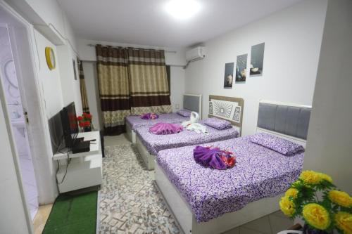 giza city hotel