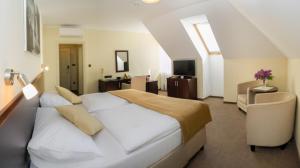 Ensana Pro Patria,Trnava>>Piestany,3 star