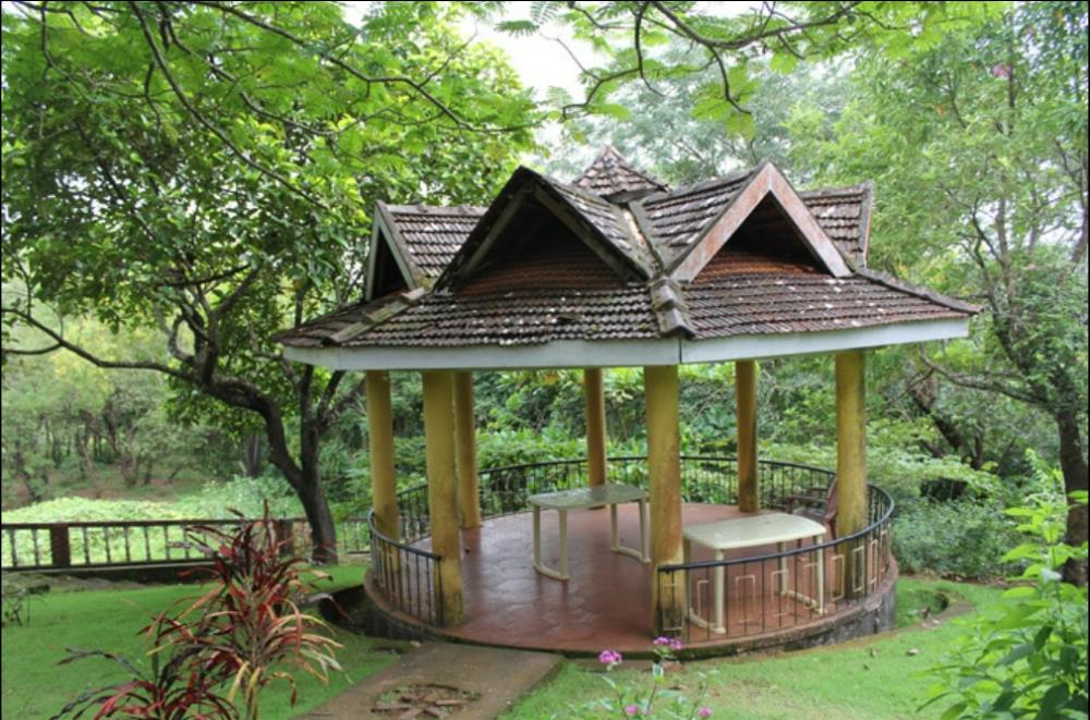 om beach resort jungle lodges