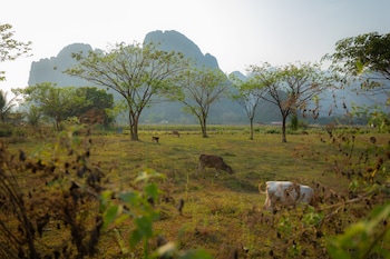 vang vieng romantic place resort