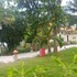 phan thiet
