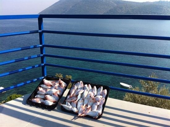 samos