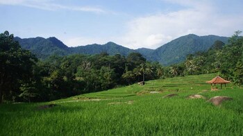 kampung turis resort and waterpark