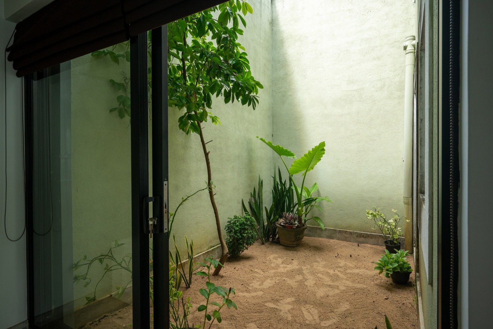 kottan on sea by the serendipity collection