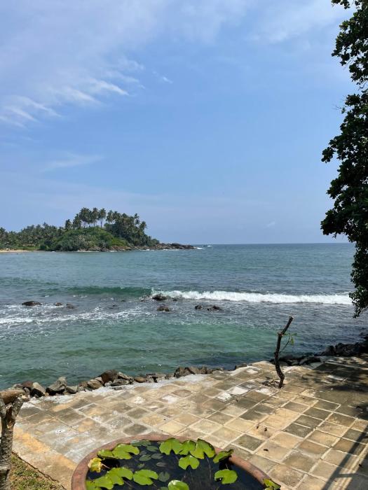 kottan on sea by the serendipity collection