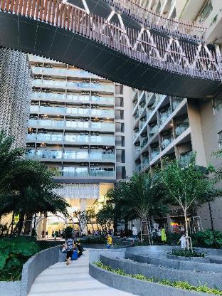 the song vung tau apartment