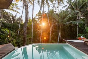 casa pohon ubud