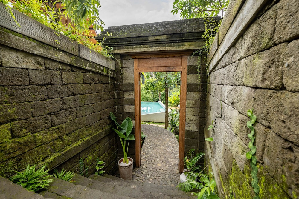 casa pohon ubud
