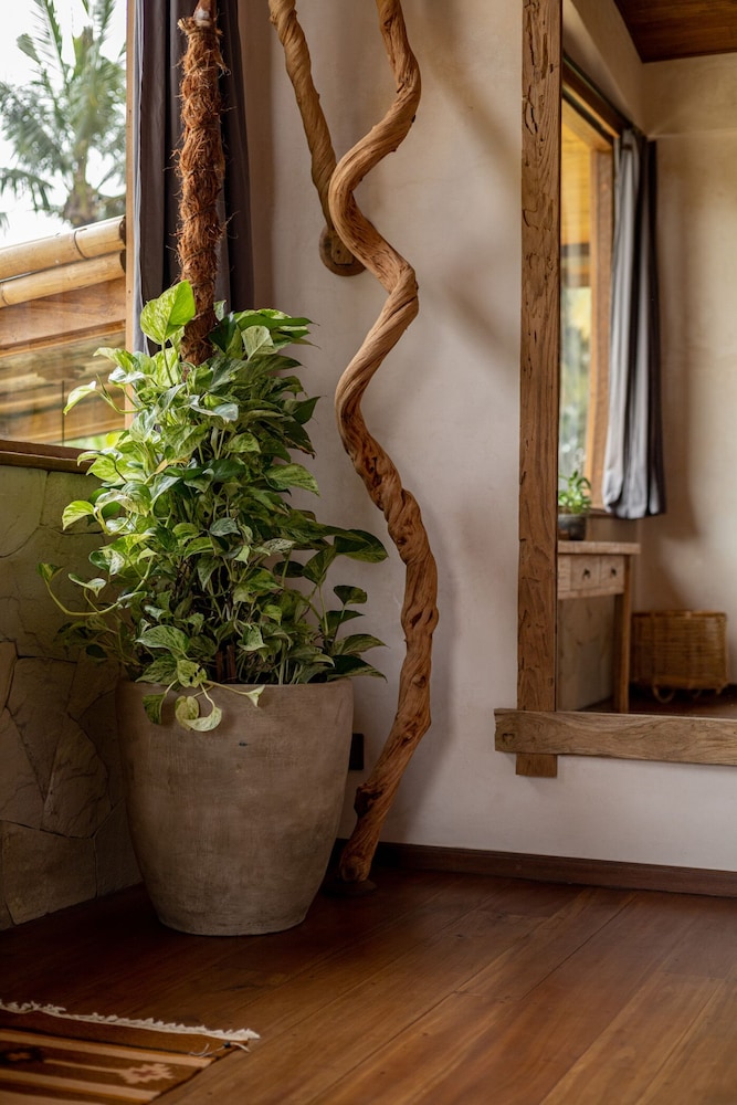casa pohon ubud
