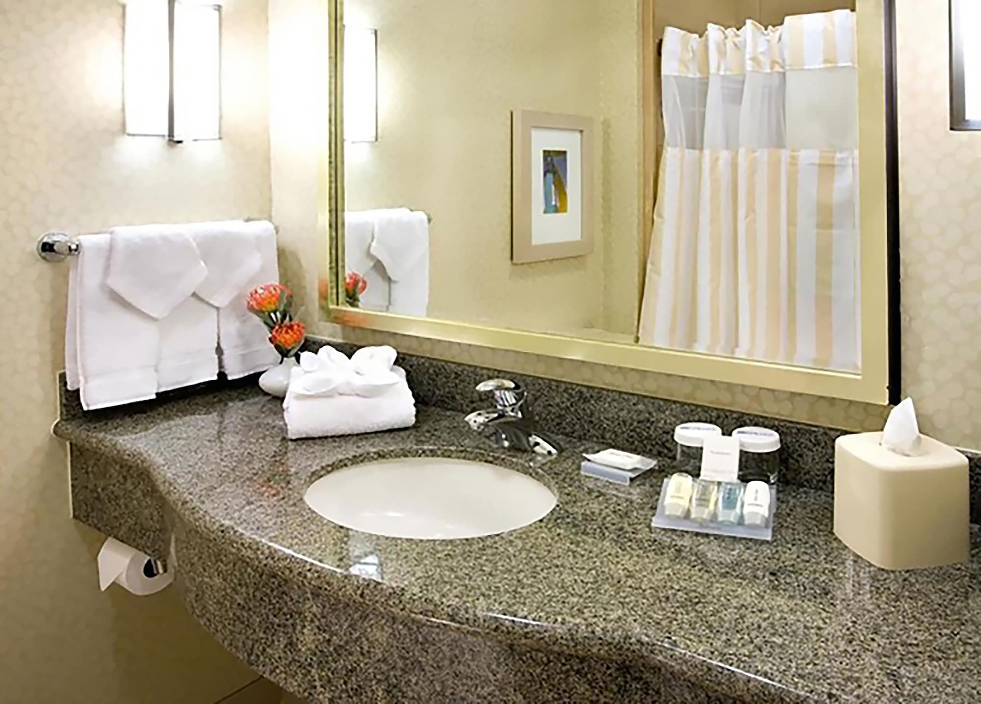 hilton garden inn dallas richardson