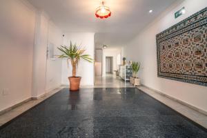 apartamentos avanel