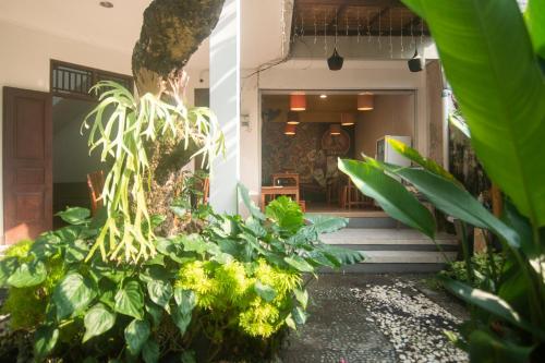 miraa guest house and resto