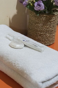 miraa guest house and resto