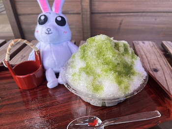 wood design park seto