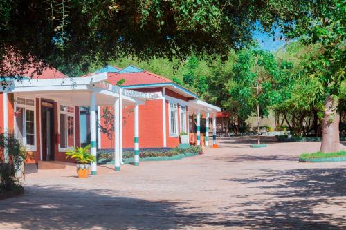 mkomazi hotels and campsite