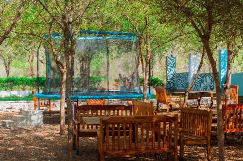 mkomazi hotels and campsite