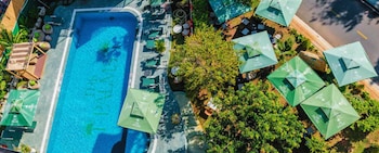 the palm hotel phan thiet