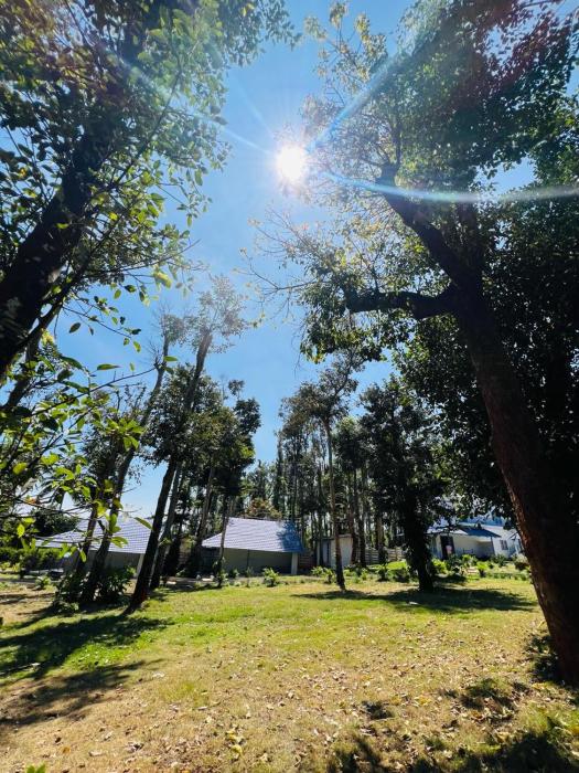 shree kalya resort