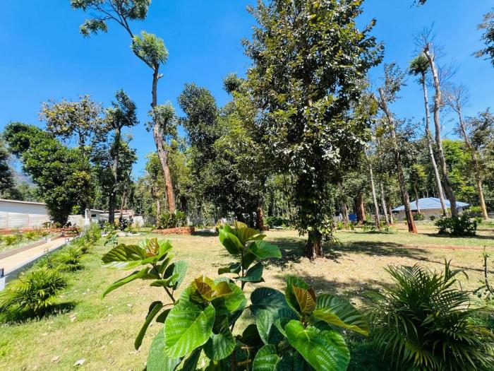 shree kalya resort