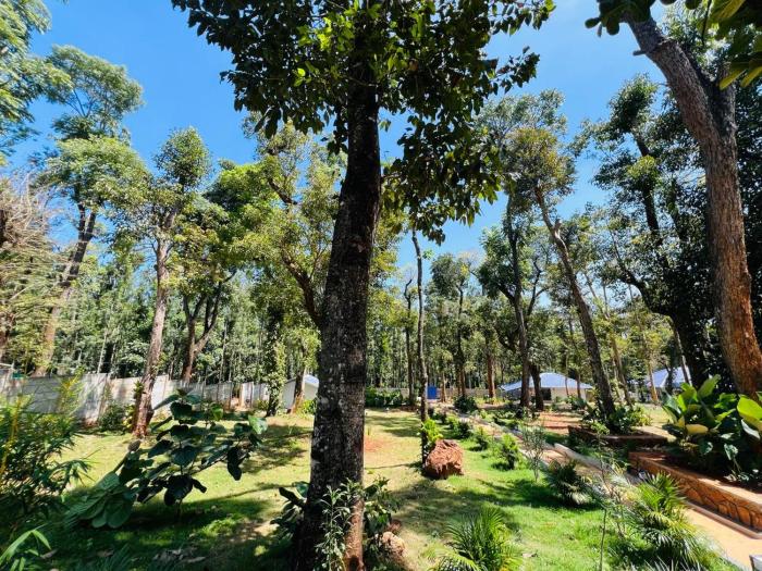 shree kalya resort