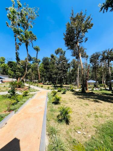 shree kalya resort