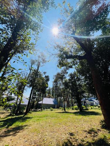 shree kalya resort