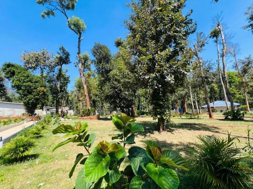 shree kalya resort