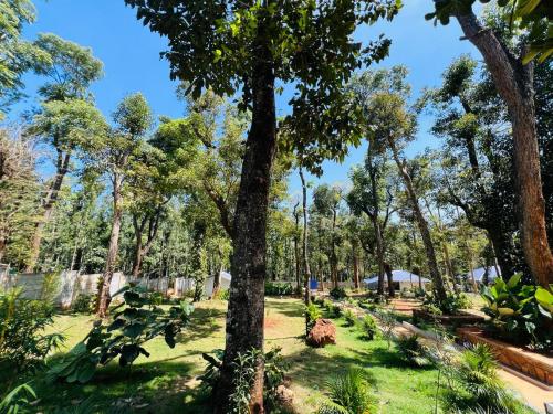 shree kalya resort