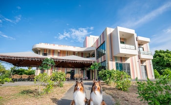 hand pet rainbow maison resort hotel