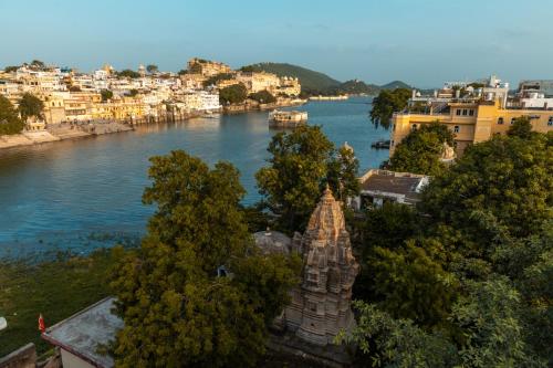 jungle by sturmfrei udaipur