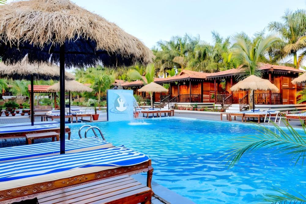 little cove nature resort