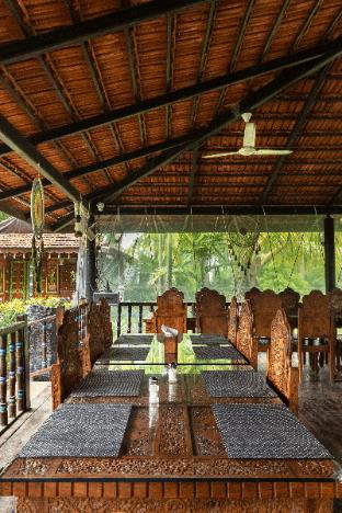 little cove nature resort