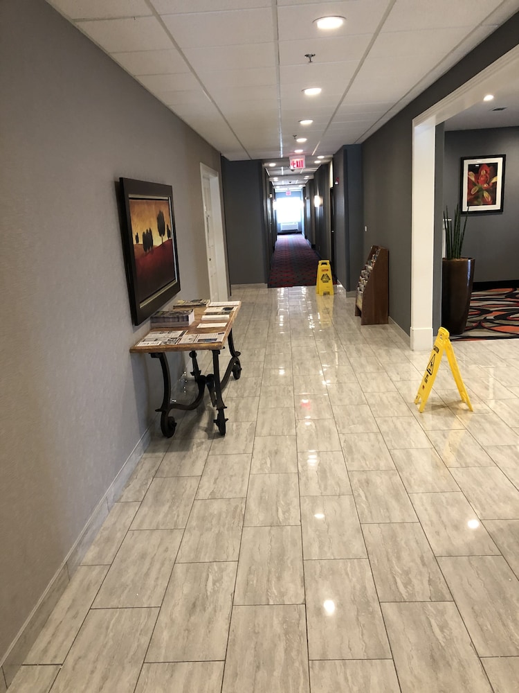 comfort inn and suites gatesville near fort cavazos